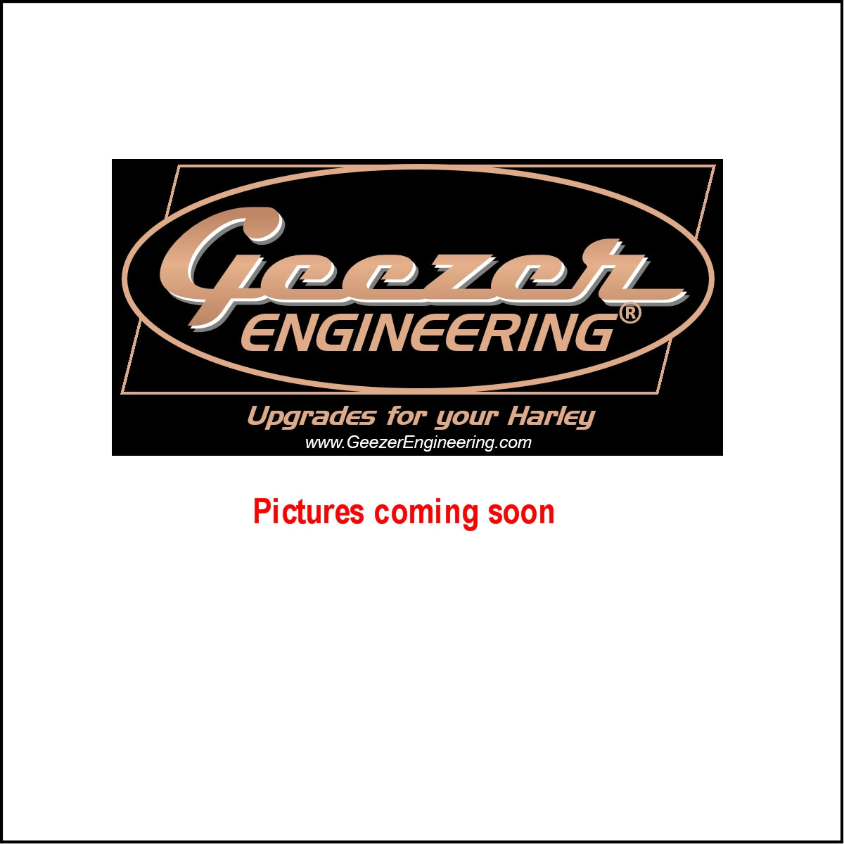 Replacement rear sprocket for chain conversion kit 2009-up touring models