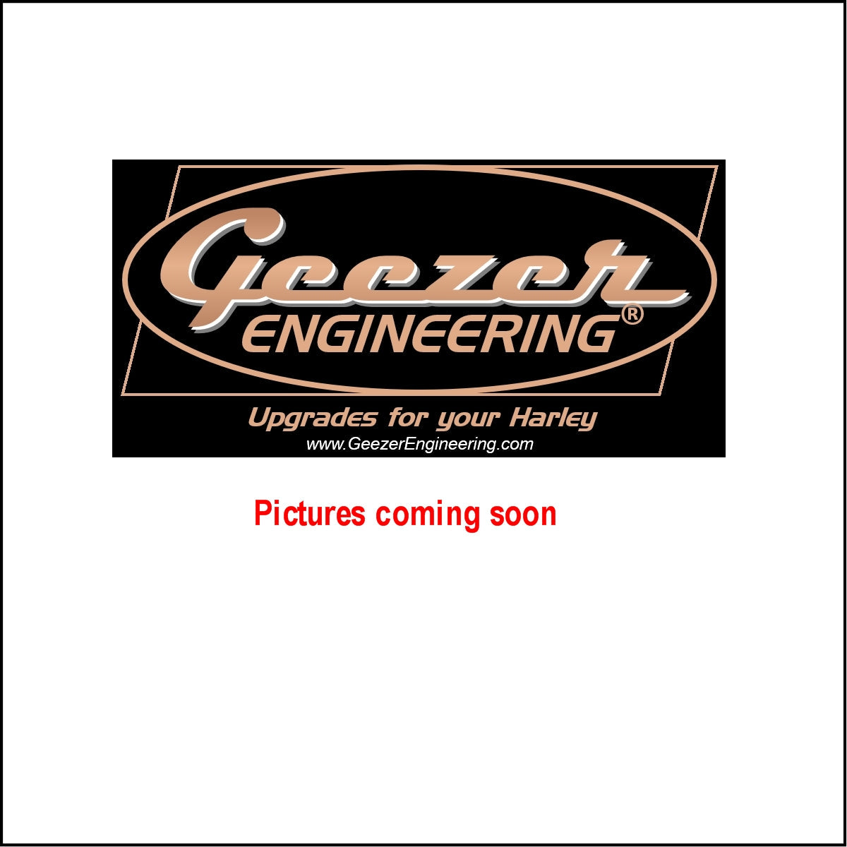 Replacement front sprocket for chain conversion kit 2009-up touring models
